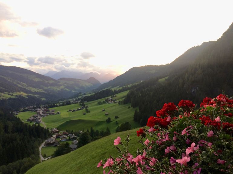 60625146_2443863969275785_7759872646686179328_n